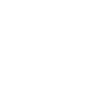 政策文件